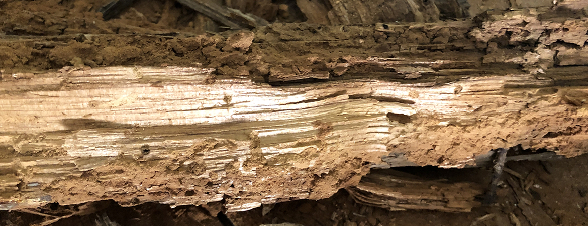 Traitement des poutres et charpentes dans le Vaucluse